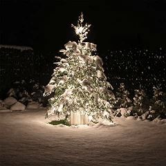 Weihnachtsbaum im Schnee hell erstrahlt