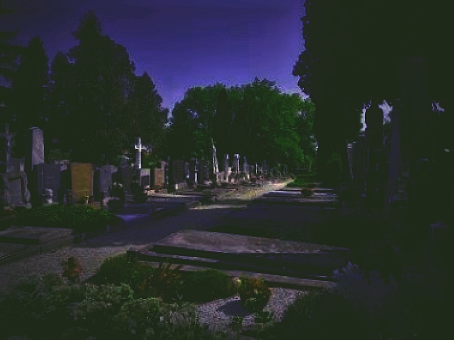 Blick in eine Friedhofsreihe